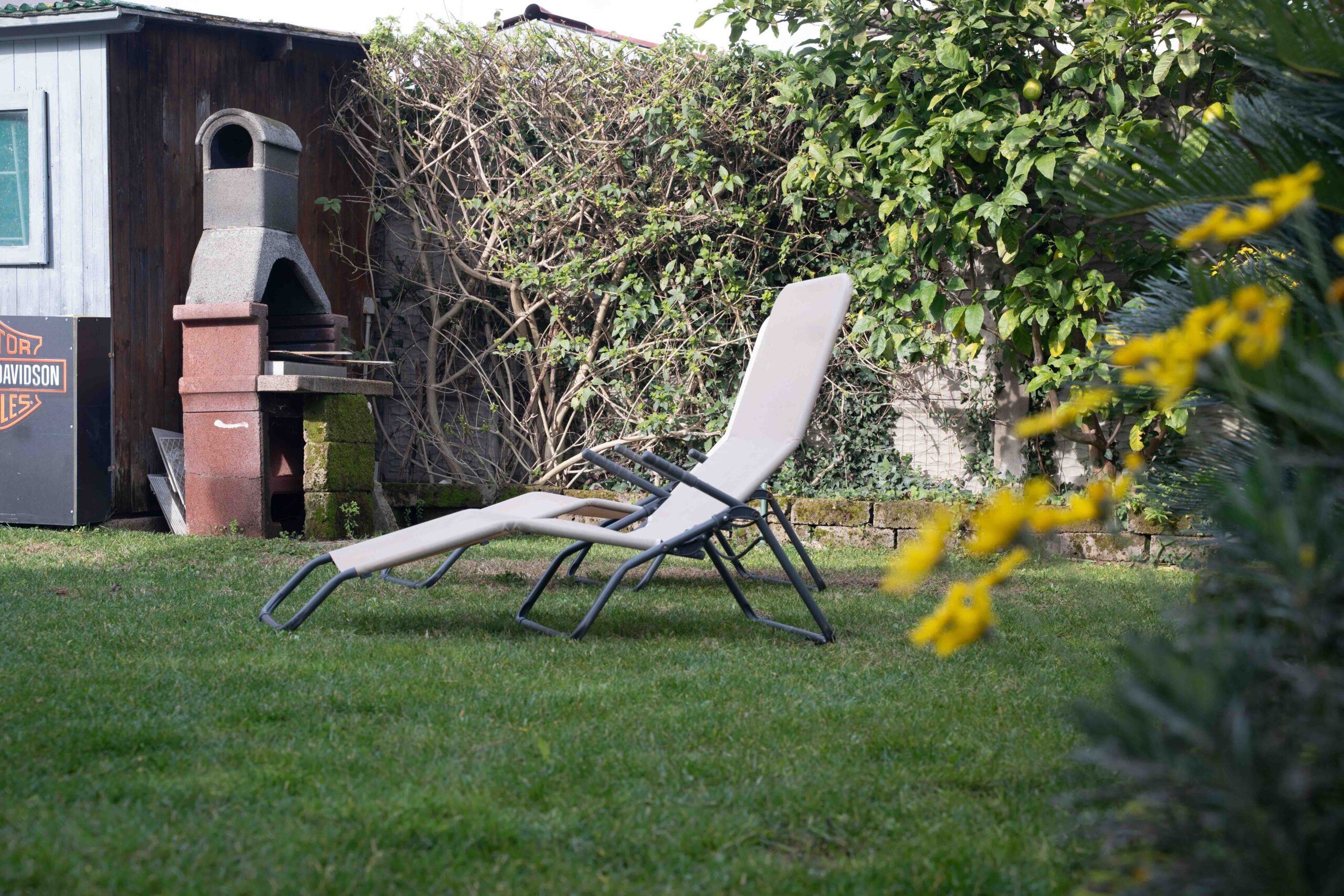 Giardino vista 1
